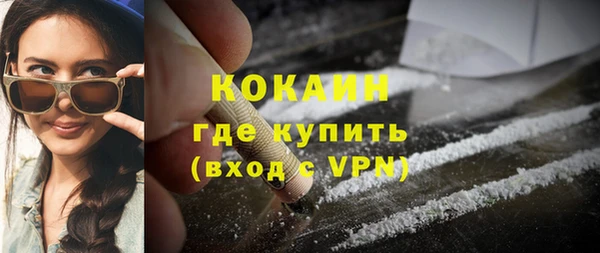 мдпв Богданович