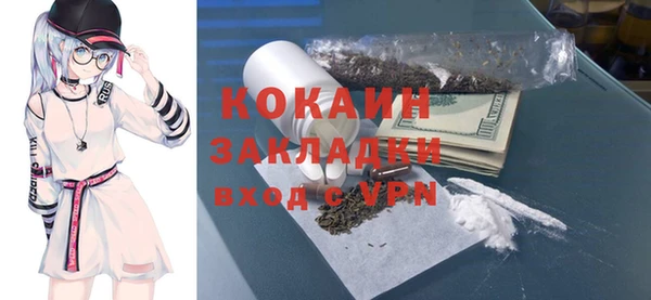 дурь Бронницы