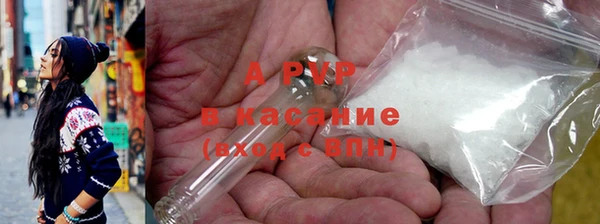 тгк Бородино