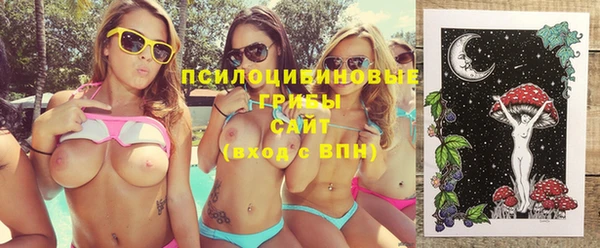дурь Бронницы