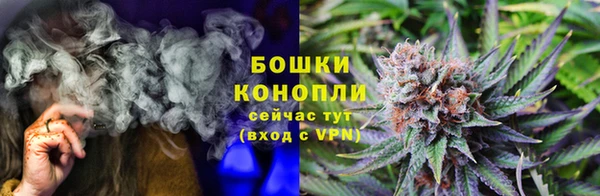 дурь Бронницы