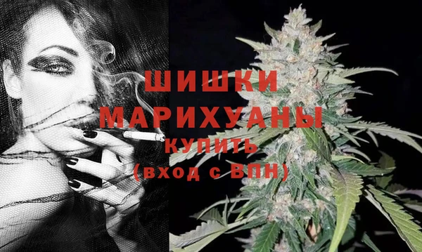 дурь Бронницы