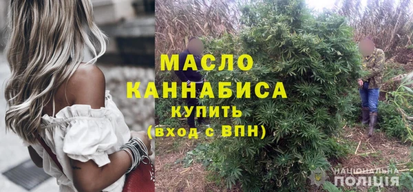 тгк Бородино
