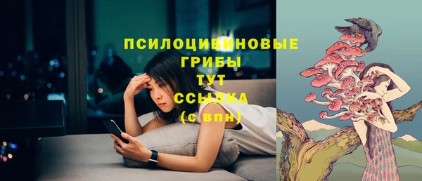 гидра Богородск